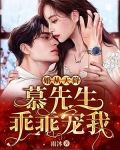 婚从天降:慕先生乖乖宠我TXT下载