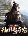 赘婿之抽奖抽到赵子龙长公主