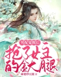 男配觉醒后,抢了女主的金大腿晋江