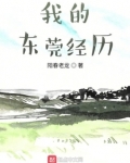 我的东莞经历 阳春老龙