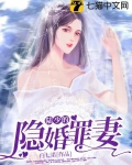 陆少的隐婚罪妻下载